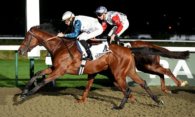 Photo d'arrivée de la course pmu PRIX GREY DAWN à DEAUVILLE le Vendredi 28 novembre 2025