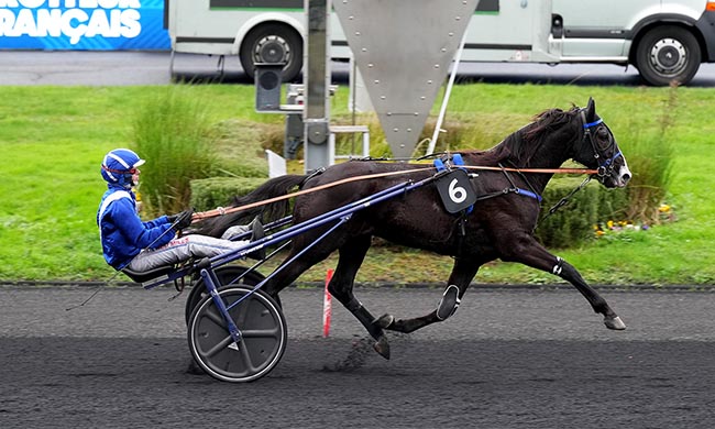 Photo d'arrivée de la course pmu PRIX DES DAHLIAS à PARIS-VINCENNES le Samedi 29 novembre 2025