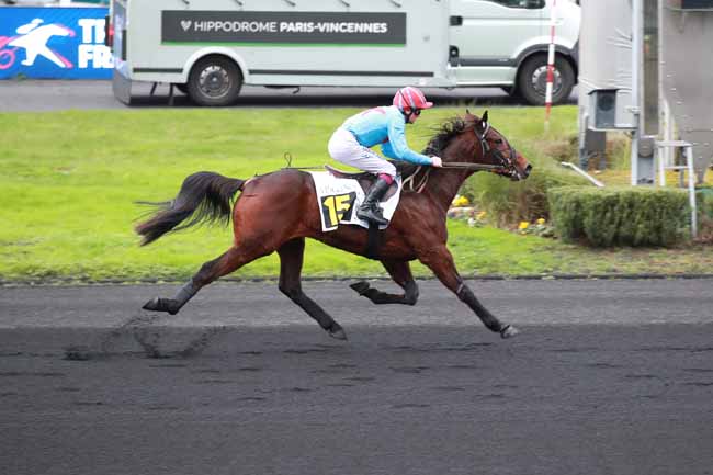 Photo d'arrivée de la course pmu PRIX DE GEMOZAC à PARIS-VINCENNES le Lundi 1 décembre 2025