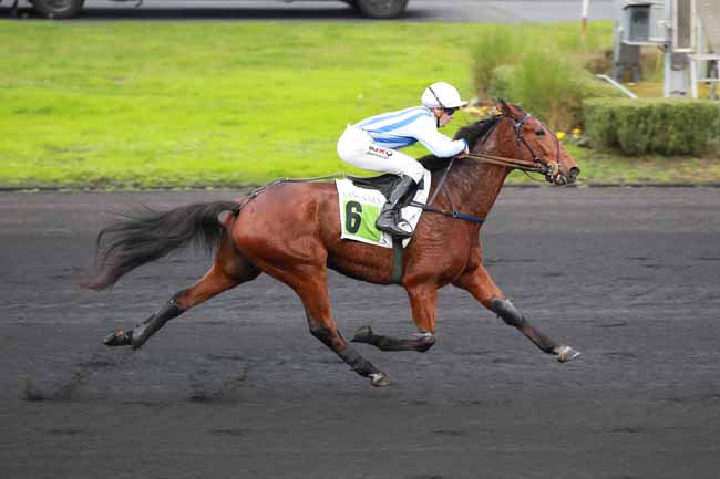 Photo d'arrivée de la course pmu PRIX DE CASTELLANE à PARIS-VINCENNES le Lundi 1 décembre 2025