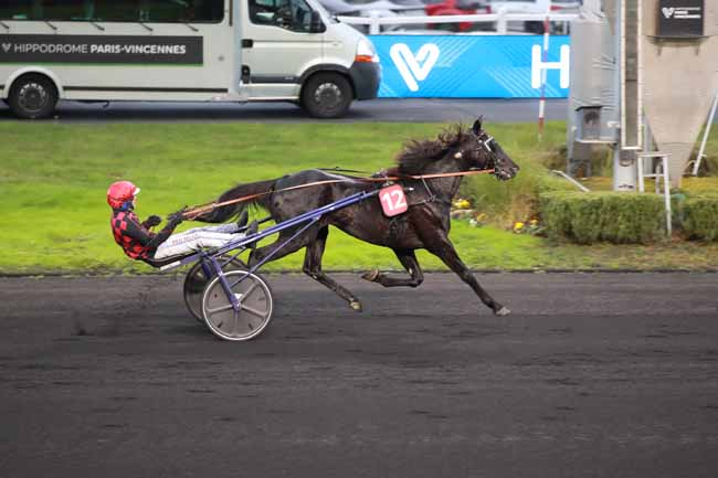 Photo d'arrivée de la course pmu PRIX LES MATHES-LA PALMYRE à PARIS-VINCENNES le Lundi 1 décembre 2025