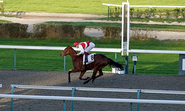 Photo d'arrivée de la course pmu PRIX DU LIEU DES CHAMPS à DEAUVILLE le Mardi 2 décembre 2025