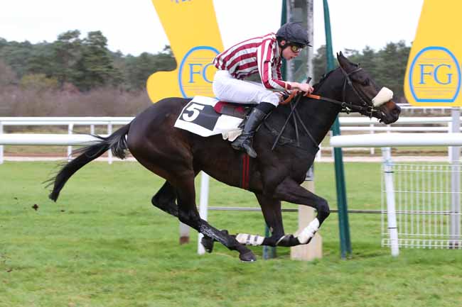 Photo d'arrivée de la course pmu PRIX DU PAVE DU ROY à FONTAINEBLEAU le Mardi 2 décembre 2025