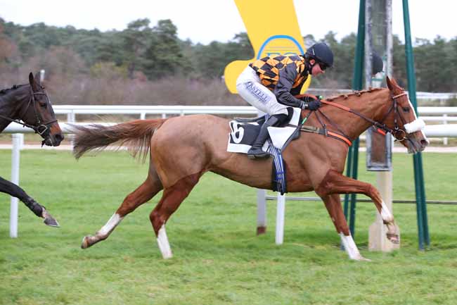 Photo d'arrivée de la course pmu PRIX PAIUTE à FONTAINEBLEAU le Mardi 2 décembre 2025