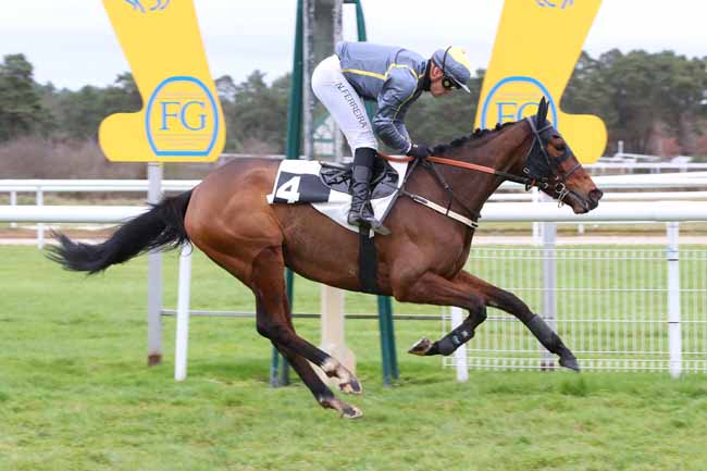 Photo d'arrivée de la course pmu PRIX DE LA MARE AUX CERFS à FONTAINEBLEAU le Mardi 2 décembre 2025