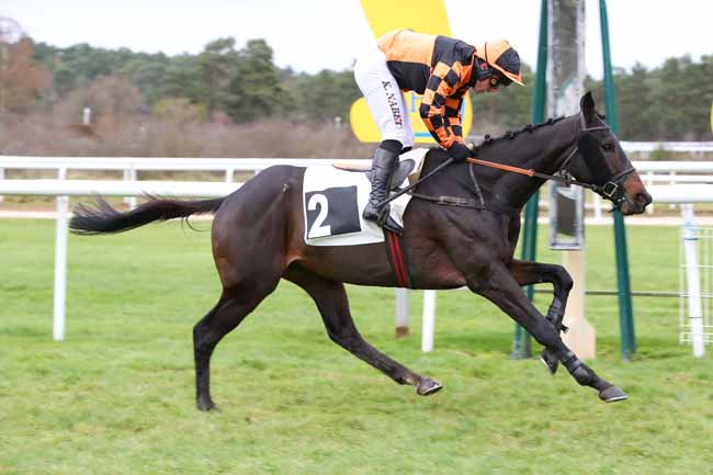 Photo d'arrivée de la course pmu PRIX TREMAILLE à FONTAINEBLEAU le Mardi 2 décembre 2025