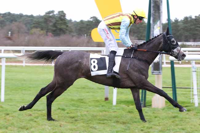 Photo d'arrivée de la course pmu PRIX DES LIEVRES à FONTAINEBLEAU le Mardi 2 décembre 2025