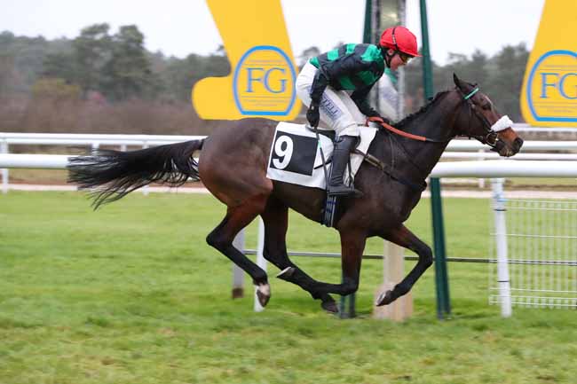 Photo d'arrivée de la course pmu GRAND STEEPLE-CHASE DE LA SOLLE - PRIX COMPAGNIE LES ARLEQUINS à FONTAINEBLEAU le Mardi 2 décembre 2025