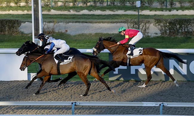 Photo d'arrivée de la course pmu PRIX LE POLISSON à DEAUVILLE le Mercredi 3 décembre 2025