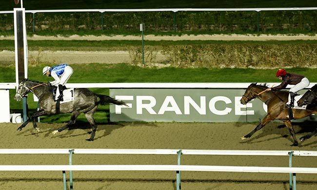 Photo d'arrivée de la course pmu PRIX LUTHIER - POLYTRACK CHALLENGE à DEAUVILLE le Mercredi 3 décembre 2025