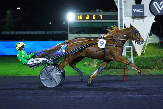 Photo d'arrivée de la course pmu PRIX CALLIOPE à PARIS-VINCENNES le Vendredi 5 décembre 2025