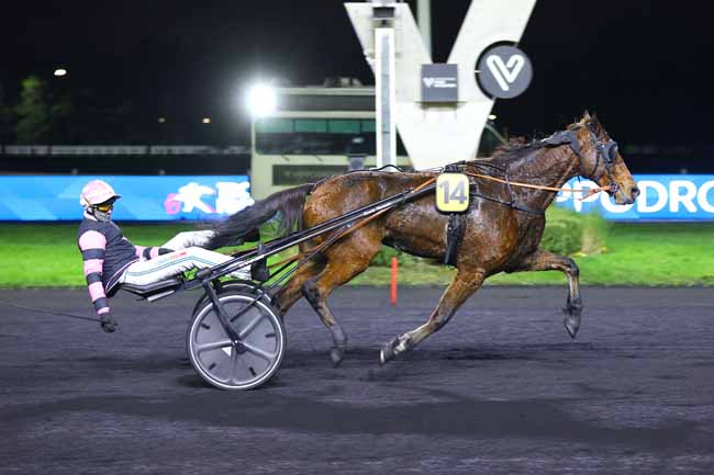 Arrivée quinté pmu PRIX BRASILIA à PARIS-VINCENNES