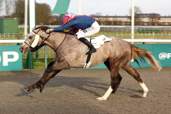 Photo d'arrivée de la course pmu PRIX DU PORCHENE à CHANTILLY le Samedi 6 décembre 2025