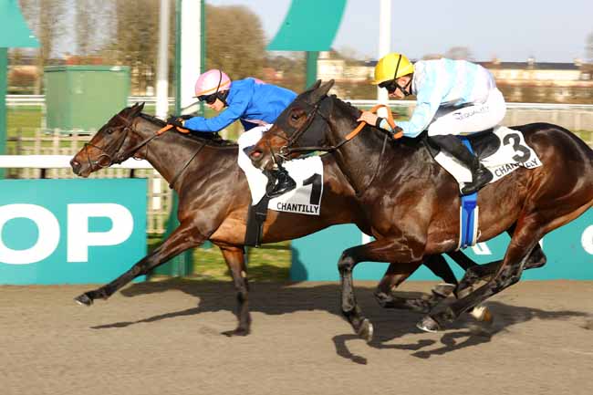 Photo d'arrivée de la course pmu PRIX DU CARREFOUR DES BOULEAUX à CHANTILLY le Samedi 6 décembre 2025