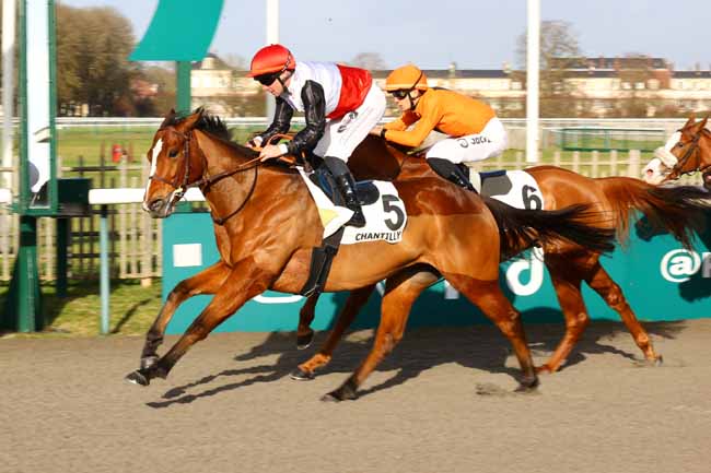 Photo d'arrivée de la course pmu PRIX DE L'ECLUSE DE CREIL à CHANTILLY le Samedi 6 décembre 2025