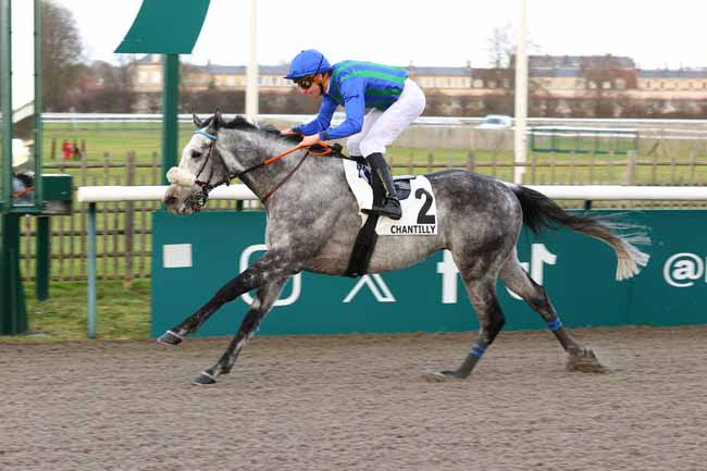 Photo d'arrivée de la course pmu PRIX DE LA FORET DE CARNELLE à CHANTILLY le Samedi 6 décembre 2025