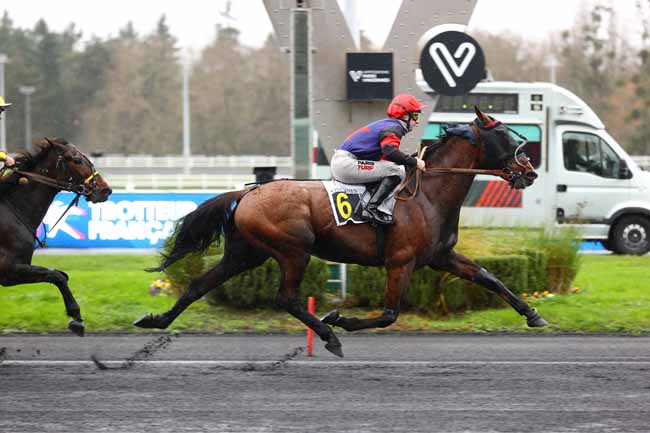 Photo d'arrivée de la course pmu PRIX DE VILLEROY à PARIS-VINCENNES le Dimanche 7 décembre 2025