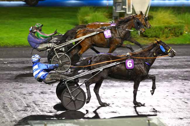 Photo d'arrivée de la course pmu PRIX DE LODEVE à PARIS-VINCENNES le Dimanche 7 décembre 2025