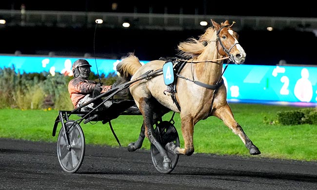 Photo d'arrivée de la course pmu PRIX DE LUXE à PARIS-VINCENNES le Dimanche 7 décembre 2025