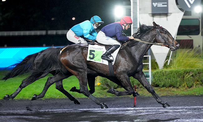 Photo d'arrivée de la course pmu PRIX DE GRENOBLE à PARIS-VINCENNES le Dimanche 7 décembre 2025