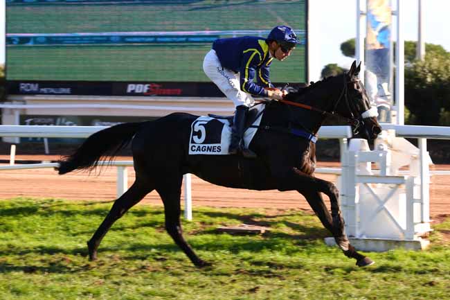 Photo d'arrivée de la course pmu PRIX DU COL D'ASPIN à CAGNES-SUR-MER le Lundi 8 décembre 2025