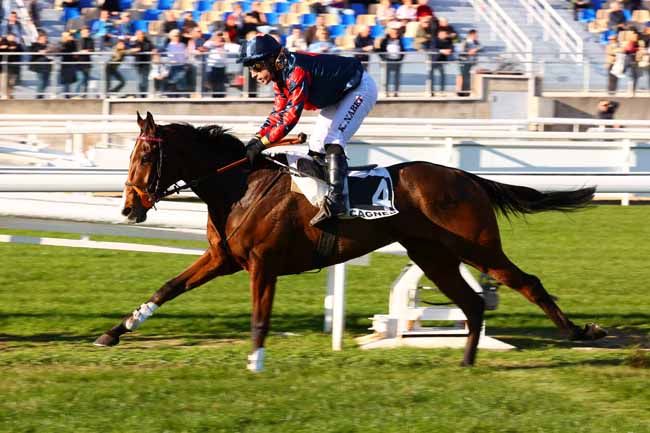 Arrivée quinté pmu PRIX DE LA PROMENADE DES ANGLAIS à CAGNES-SUR-MER