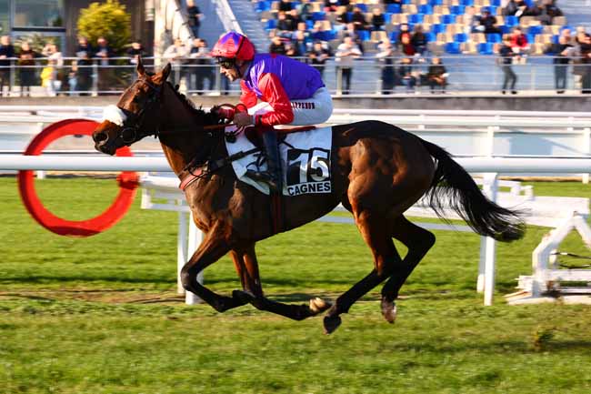 Photo d'arrivée de la course pmu PRIX VALLON DES AUFFES à CAGNES-SUR-MER le Lundi 8 décembre 2025