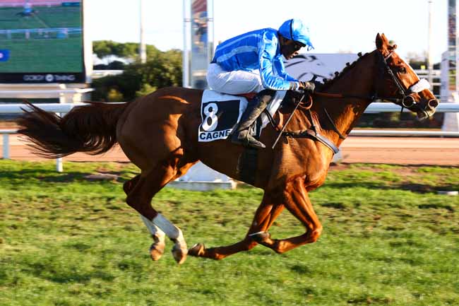 Photo d'arrivée de la course pmu PRIX DU VIEUX NICE à CAGNES-SUR-MER le Lundi 8 décembre 2025