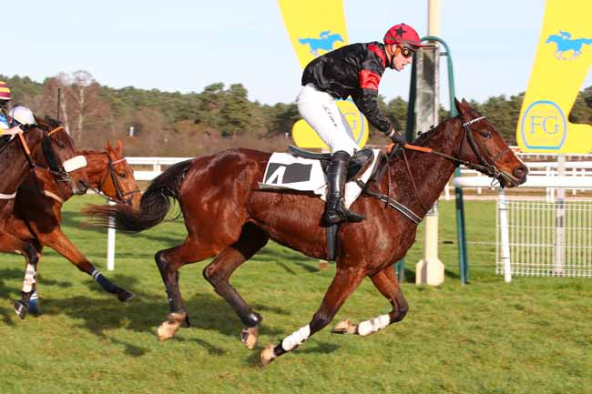 Photo d'arrivée de la course pmu PRIX COLONEL BEAUJEAN - CHALLENGE DE L'OBSTACLE EQUINAXY à FONTAINEBLEAU le Mardi 9 décembre 2025