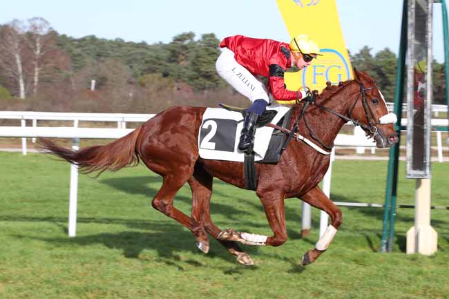 Photo d'arrivée de la course pmu PRIX DES ROSEAUX à FONTAINEBLEAU le Mardi 9 décembre 2025