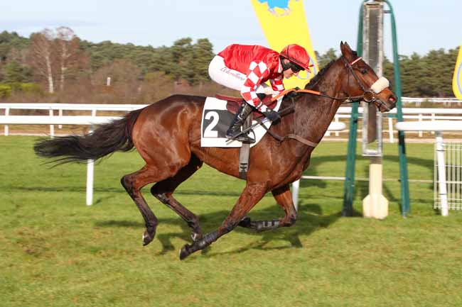 Photo d'arrivée de la course pmu PRIX DE LA VILLE D'AVON à FONTAINEBLEAU le Mardi 9 décembre 2025