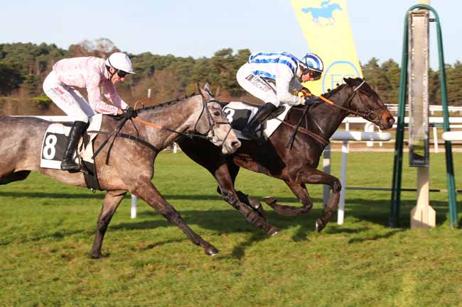 Photo d'arrivée de la course pmu PRIX DU FER A CHEVAL à FONTAINEBLEAU le Mardi 9 décembre 2025