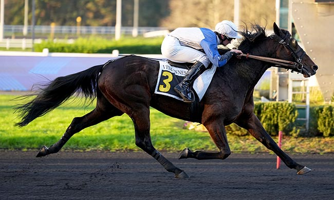 Photo d'arrivée de la course pmu PRIX DE SEICHES-SUR-LE-LOIR à PARIS-VINCENNES le Mardi 9 décembre 2025