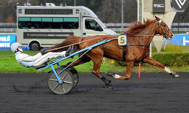 Photo d'arrivée de la course pmu PRIX DE SAINT-MALO à PARIS-VINCENNES le Jeudi 11 décembre 2025