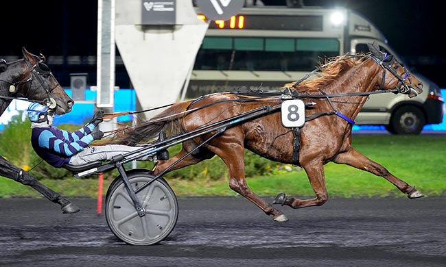 Photo d'arrivée de la course pmu PRIX DE DIVONNE-LES-BAINS à PARIS-VINCENNES le Vendredi 12 décembre 2025