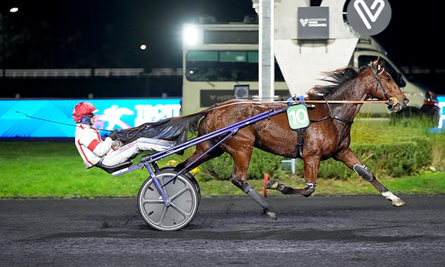 Photo d'arrivée de la course pmu PRIX DE CANCALE à PARIS-VINCENNES le Vendredi 12 décembre 2025