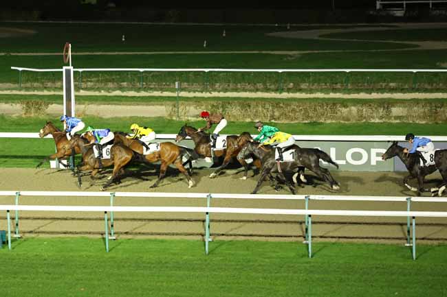 Photo d'arrivée de la course pmu PRIX DE DANESTAL à DEAUVILLE le Vendredi 12 décembre 2025