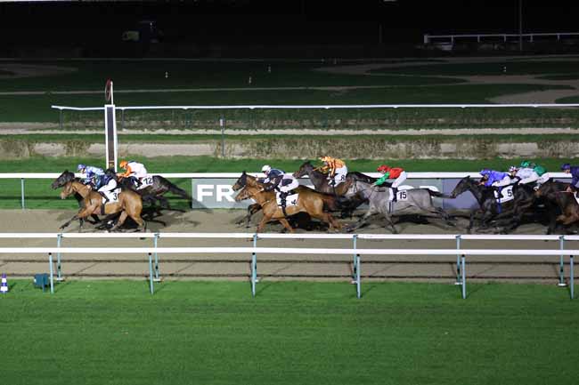 Photo d'arrivée de la course pmu PRIX DU VERGER à DEAUVILLE le Vendredi 12 décembre 2025