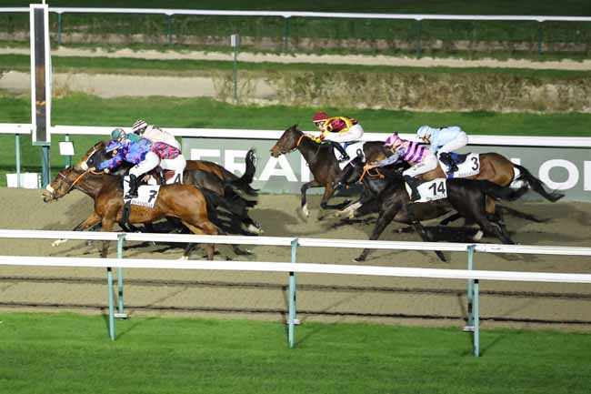 Photo d'arrivée de la course pmu PRIX DES MAS à DEAUVILLE le Samedi 13 décembre 2025