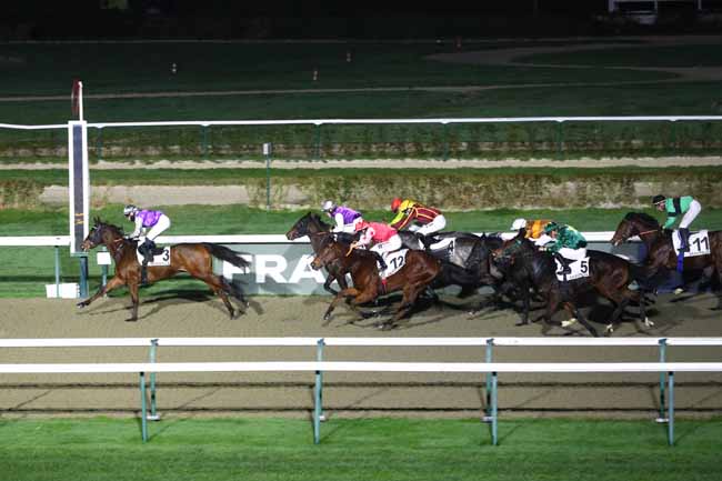 Photo d'arrivée de la course pmu PRIX DES MEULIERES à DEAUVILLE le Samedi 13 décembre 2025