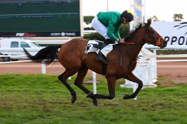 Photo d'arrivée de la course pmu PRIX DU MONT FALOURDE à CAGNES-SUR-MER le Lundi 15 décembre 2025
