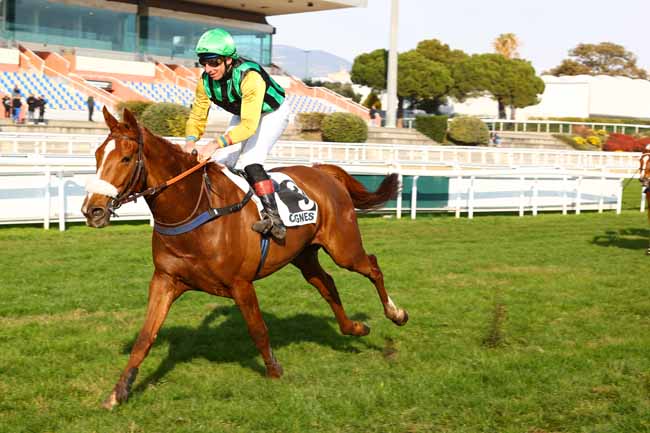 Photo d'arrivée de la course pmu PRIX WUTZELINE - PELOTON A à CAGNES-SUR-MER le Lundi 15 décembre 2025