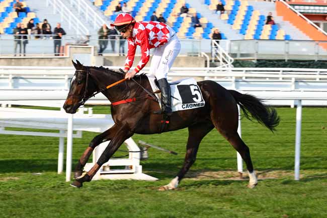 Photo d'arrivée de la course pmu PRIX WUTZELINE - PELOTON B à CAGNES-SUR-MER le Lundi 15 décembre 2025