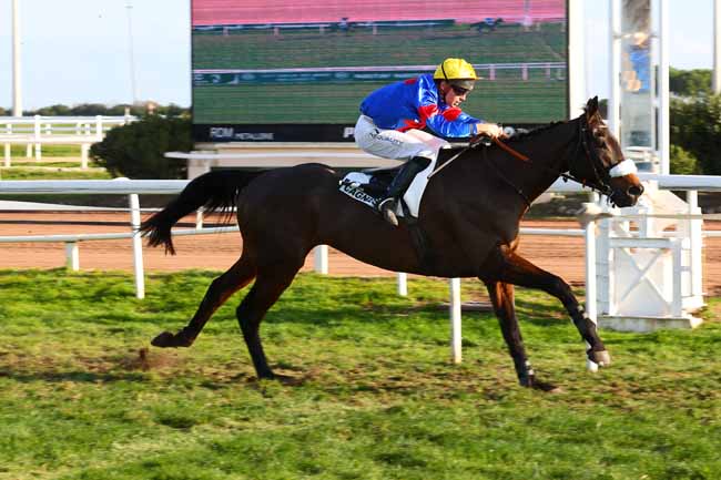 Photo d'arrivée de la course pmu PRIX BERJOU à CAGNES-SUR-MER le Lundi 15 décembre 2025