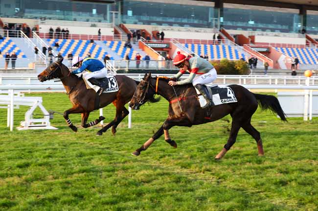 Photo d'arrivée de la course pmu PRIX JEAN-YVES BEAURAIN à CAGNES-SUR-MER le Lundi 15 décembre 2025