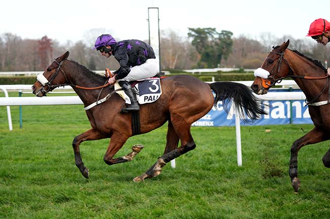Photo d'arrivée de la course pmu PRIX DE PARDIES à PAU le Mardi 16 décembre 2025
