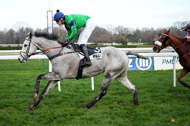 Photo d'arrivée de la course pmu PRIX DU PAU HUNT RACES à PAU le Mardi 16 décembre 2025