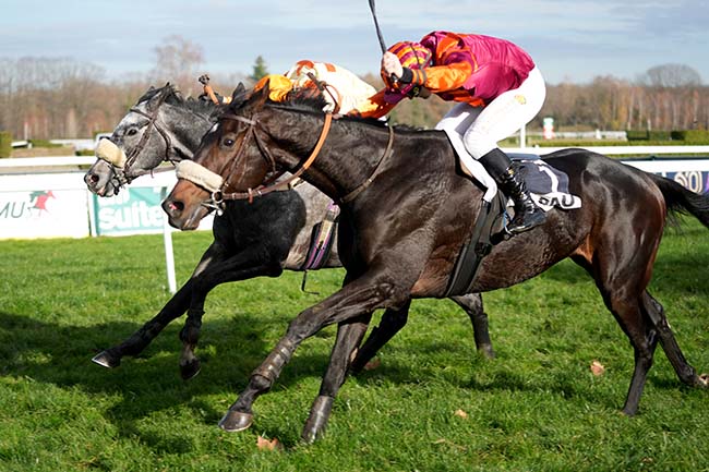 Arrivée quinté pmu PRIX ETALON CASTLE DU BERLAIS - HARAS DU LION (PRIX GEORGES PASTRE) à PAU