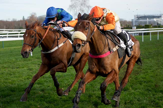 Photo d'arrivée de la course pmu PRIX ANDRE TOULET à PAU le Mardi 16 décembre 2025