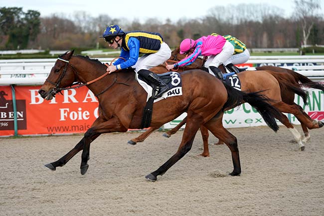 Photo d'arrivée de la course pmu PRIX DE MEILLON à PAU le Mardi 16 décembre 2025